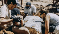 Mar del Plata: Dos niños encontraron restos inéditos de un gliptodonte 