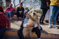 Un reconocido barrio de Rivadavia recibirá el quirófano de esterilización de mascotas