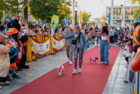 Santa Lucía: el primer Municipio en chipear a sus mascotas