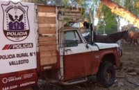 Transportaban carne faenada, animales y leña con autorización falsa