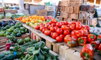 Atención: informaron los precios máximos de referencia en frutas y verduras para junio