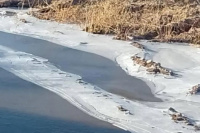 Frío extremo: Un río sanjuanino quedó congelado este martes