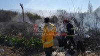 Un grave incendio puso en peligro a varias viviendas de Albardón