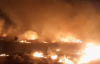Voraz incendio afecta varias hectáreas de la Reserva Natural de Punta Lara