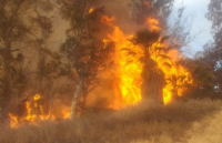 En Pocito: un gran incendio estuvo a punto de desencadenar llamas en viviendas alrededor