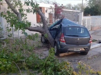 Accidente fatal en el Barrio Kennedy: perdió el control y chocó contra un árbol