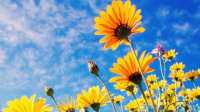 Inicio de la primavera: Así estará la temperatura hoy en San Juan