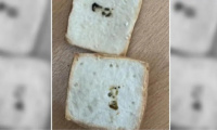 Una sanjuanina escrachó a una panadería: encontró caca de rata en una tortita