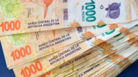 ANSES extendió el horario de inscripción del bono de $94.000 para informales