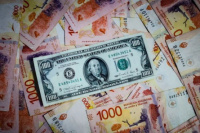 Advertencia de los bancos internacionales acerca de los costos de la dolarización en la Argentina