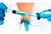 La vacuna contra el dengue ya esta disponible en el país: ¿Cuanto costará?