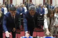 VIDEO: Olivera, Uñac y Giménez juraron como senadores nacionales