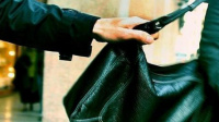 Insólito: irá preso 13 meses por robar un bolso matero