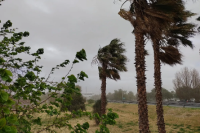 Hay alerta amarillo por viento Sur: las ráfagas podrían alcanzar los 90 kilómetros por hora