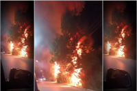 Rawson: Feroz incendio de cañaverales generó pánico en los vecinos de la zona