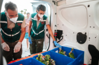 Qué pasó con los loros rescatados en San Juan 