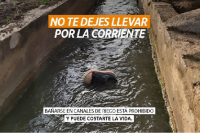 Para generar conciencia: lanzan una campaña para concientizar sobre el riesgo de bañarse en canales