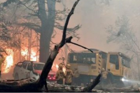 Ofrecen millonaria recompensa para obtener información sobre quién originó el incendio en el Parque Nacional Los Alerces