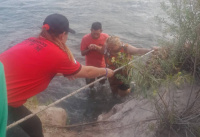 Creciente en el río San Juan: personal de bomberos voluntarios rescataron a varias personas