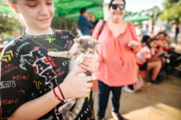 Ambiente esterilizó a más de 80 perros y gatos en Capital