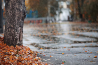 Con probabilidad de tormentas: así estará el tiempo este martes 26 de marzo