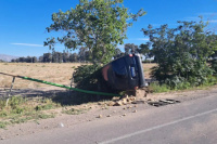 Un utilitario cargado con pan chocó contra una moto y terminó volcando