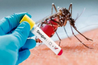 Dengue en San Juan: 1.064 casos, 24 hospitalizados y dos muertes