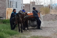 Robo y maltrato animal: robaron una heladera e intentaron escapar en una carreta