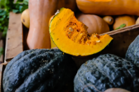 Feria y Mercado de Abasto: productos saludables de calidad para los sanjuaninos