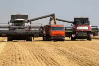 La actividad económica cayó un 1,3% en julio: agro y la minería las únicas que crecieron
