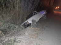 Se le atravesó un perro y cayó en un Zanjón en Rawson