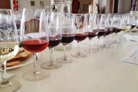 Gran Oro Cata San Juan 2024: cuatro vinos tintos sanjuaninos lo ganaron