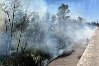 En Chimbas: los bomberos lograron apagar un incendio cerca de la Costanera
