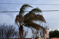 Emitieron una alerta amarilla por viento Sur para este domingo en la provincia
