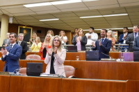 La Cámara de Diputados de San Juan aprobó una ley para regular los juegos en línea