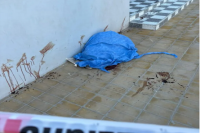 Indignante: un hombre que comía en un restaurante de Chimbas apuñaló y mató a un perro