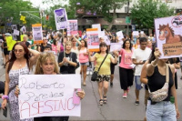 Marcharán en la provincia en contra del maltrato animal