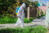 Confirman el primer caso importado de dengue en San Juan: la paciente está aislada y sin complicaciones