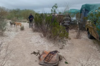 En Albardón: Desmantelan una red de caza furtiva que utilizaba perros galgos 