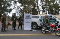Desbaratan dos operativos de tráfico de cocaína en la Ruta Nacional Nº 40