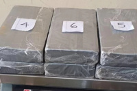 Gendarmes le hallaron a una mujer seis panes de droga en un operativo 