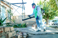 La Ciudad intensifica su campaña de desratización y desinsectación