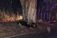 Un hombre perdió el control de su moto y chocó contra un árbol, fue hospitalizado