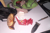 Dos hombres que cazaban quirquinchos en Caucete terminaron detenidos