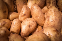 Feria y Mercado de Abasto: ofertas actualizadas en productos saludables