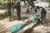 Operativo en Valle Fértil: secuestran carne de guanaco en un hecho de caza ilegal