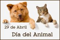 Día del Animal: por qué se celebra el 29 de abril en la Argentina