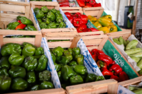 Estos son los precios actualizados de frutas, verduras y carnes en San Juan