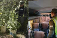 Operativos en San Juan: secuestran cocaína en un colectivo y marihuana en un baldío