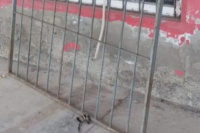 Frustran un intento de robo en una casa: el ladrón era un menor de edad